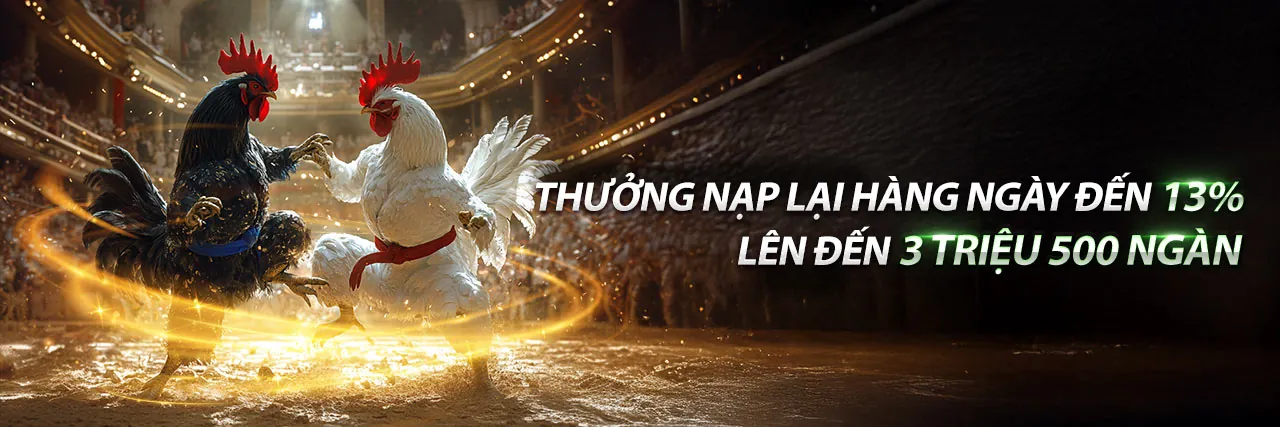 Sân đấu đá gà trực tuyến kịch tính tại yhft925